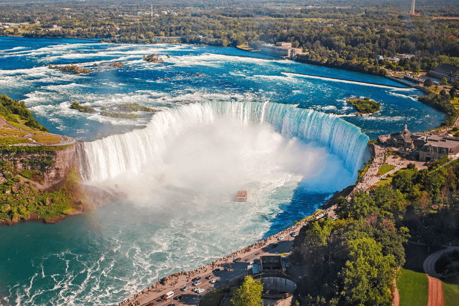 Canada visa assistance
